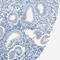 Platelet basic protein antibody, HPA008354, Atlas Antibodies, Immunohistochemistry frozen image 