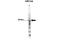 BAR antibody, 27-918, ProSci, Immunohistochemistry frozen image 