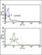 CYP51A1 antibody, LS-C167243, Lifespan Biosciences, Flow Cytometry image 