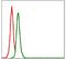 SRC Proto-Oncogene, Non-Receptor Tyrosine Kinase antibody, GTX60521, GeneTex, Flow Cytometry image 