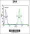Unc-13 Homolog B antibody, 63-695, ProSci, Flow Cytometry image 