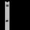 Rho-related GTP-binding protein RhoG antibody, GTX02522, GeneTex, Western Blot image 