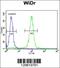 Homeobox protein Meis2 antibody, 61-960, ProSci, Flow Cytometry image 