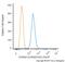 S100 Calcium Binding Protein A4 antibody, NBP2-54580PCP, Novus Biologicals, Flow Cytometry image 