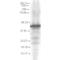 HDJ1 antibody, SMC-166D, StressMarq, Western Blot image 