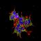 Receptor expression-enhancing protein 2 antibody, orb376712, Biorbyt, Immunofluorescence image 
