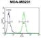 Small Integral Membrane Protein 14 antibody, abx032522, Abbexa, Western Blot image 