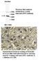 ZFP2 Zinc Finger Protein antibody, MBS416236, MyBioSource, Immunohistochemistry paraffin image 