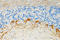 Neurofilament H Phospho (NF-H) antibody, 801608, BioLegend, Western Blot image 