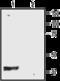 Potassium Voltage-Gated Channel Subfamily J Member 10 antibody, GTX54781, GeneTex, Western Blot image 
