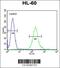 SOS Ras/Rho Guanine Nucleotide Exchange Factor 2 antibody, 56-028, ProSci, Flow Cytometry image 