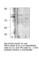ATK antibody, BTK-101AP, FabGennix, Western Blot image 