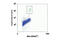 Histone H3 antibody, 5764S, Cell Signaling Technology, Flow Cytometry image 