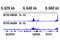 Histone-lysine N-methyltransferase SETD2 antibody, 80290S, Cell Signaling Technology, Chromatin Immunoprecipitation image 