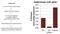Histone H2B antibody, NBP2-54770, Novus Biologicals, Immunoprecipitation image 