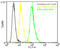 Polyubiquitin-B antibody, ADI-SPA-200-488-D, Enzo Life Sciences, Flow Cytometry image 