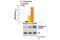 LCK Proto-Oncogene, Src Family Tyrosine Kinase antibody, 7941S, Cell Signaling Technology, Enzyme Linked Immunosorbent Assay image 