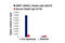 Nuclear Receptor Corepressor 2 antibody, 62370S, Cell Signaling Technology, Chromatin Immunoprecipitation image 