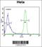 Elongation Factor Like GTPase 1 antibody, 55-152, ProSci, Immunofluorescence image 