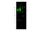HIF3-alpha-1 antibody, A03805-1, Boster Biological Technology, Western Blot image 