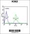 UBA Domain Containing 1 antibody, 61-898, ProSci, Flow Cytometry image 