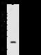Caveolin-2 antibody, 106821-T32, Sino Biological, Western Blot image 