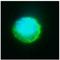 SELE antibody, BM6034P, Origene, Immunofluorescence image 
