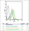 Protein Tyrosine Phosphatase Receptor Type N antibody, orb158638, Biorbyt, Flow Cytometry image 