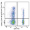 Antigen-presenting glycoprotein CD1d1 antibody, 339943, BioLegend, Flow Cytometry image 