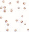 Salt Inducible Kinase 2 antibody, LS-B7103, Lifespan Biosciences, Immunocytochemistry image 