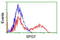 Paraplegin antibody, LS-C175084, Lifespan Biosciences, Flow Cytometry image 