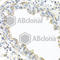 Interleukin 22 antibody, A6216, ABclonal Technology, Immunohistochemistry paraffin image 