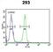 Ribosome Biogenesis Regulator 1 Homolog antibody, abx032298, Abbexa, Flow Cytometry image 