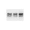 Lamin A/C antibody, IQ188, Immuquest, Immunofluorescence image 