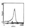 Lca antibody, CL029P, Origene, Flow Cytometry image 