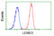 LEM Domain Containing 3 antibody, GTX84221, GeneTex, Flow Cytometry image 