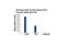 STAT3 antibody, 9131L, Cell Signaling Technology, Chromatin Immunoprecipitation image 