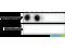 MK2 antibody, SPC-1014D-A390, StressMarq, Dot Blot image 