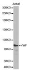 Von Willebrand Factor antibody, abx001191, Abbexa, Western Blot image 