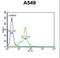 Cation-dependent mannose-6-phosphate receptor antibody, LS-C163955, Lifespan Biosciences, Flow Cytometry image 