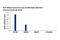 Histone H3 antibody, 9751T, Cell Signaling Technology, Chromatin Immunoprecipitation image 