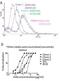 HIV-1 Env gp41 antibody, DDX1304, Novus Biologicals, Flow Cytometry image 