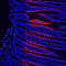 Regenerating islet-derived protein 3-beta antibody, AF5110, R&D Systems, Western Blot image 