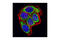 mtHSP70 antibody, 3593S, Cell Signaling Technology, Immunofluorescence image 