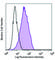 Cadherin 11 antibody, 368702, BioLegend, Immunofluorescence image 
