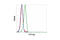 Mitogen-Activated Protein Kinase 8 antibody, 9257S, Cell Signaling Technology, Flow Cytometry image 