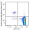 C-C Motif Chemokine Receptor 3 antibody, 310721, BioLegend, Flow Cytometry image 