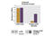 Mechanistic Target Of Rapamycin Kinase antibody, 7974C, Cell Signaling Technology, Enzyme Linked Immunosorbent Assay image 