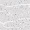 DSN1 Component Of MIS12 Kinetochore Complex antibody, HPA002813, Atlas Antibodies, Immunohistochemistry frozen image 