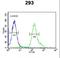 Armadillo repeat-containing protein 5 antibody, LS-C156500, Lifespan Biosciences, Flow Cytometry image 